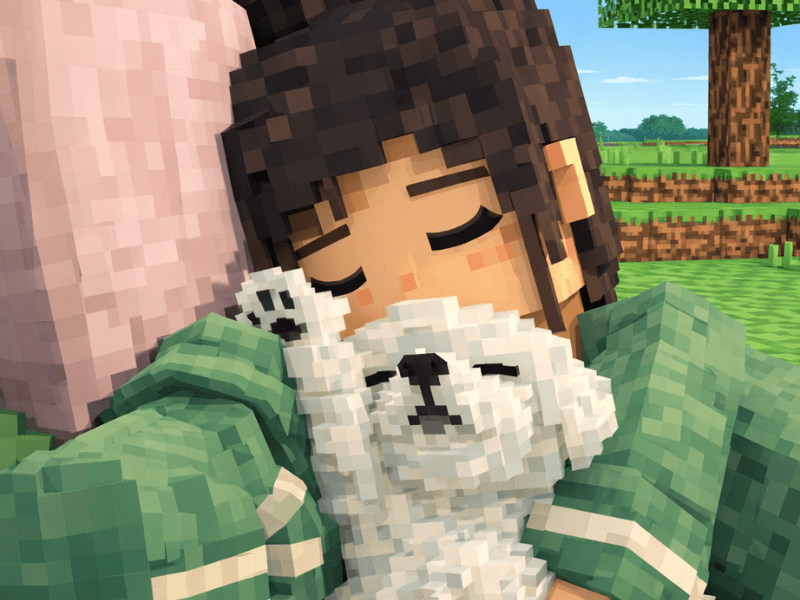 Voxel party Pet example